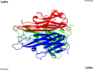 PDB rendering of TNF
