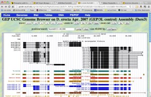 A screenshot from today's annotation.