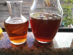 Two glass containers with kombucha cultures.