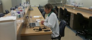 Skyping with middle schools about genetics. Very cool experience- also a bit of stretch on my abilities.