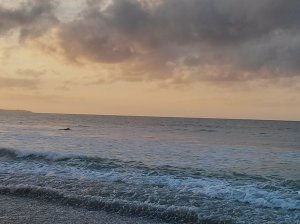 A beautiful morning, washing away the disappointment.